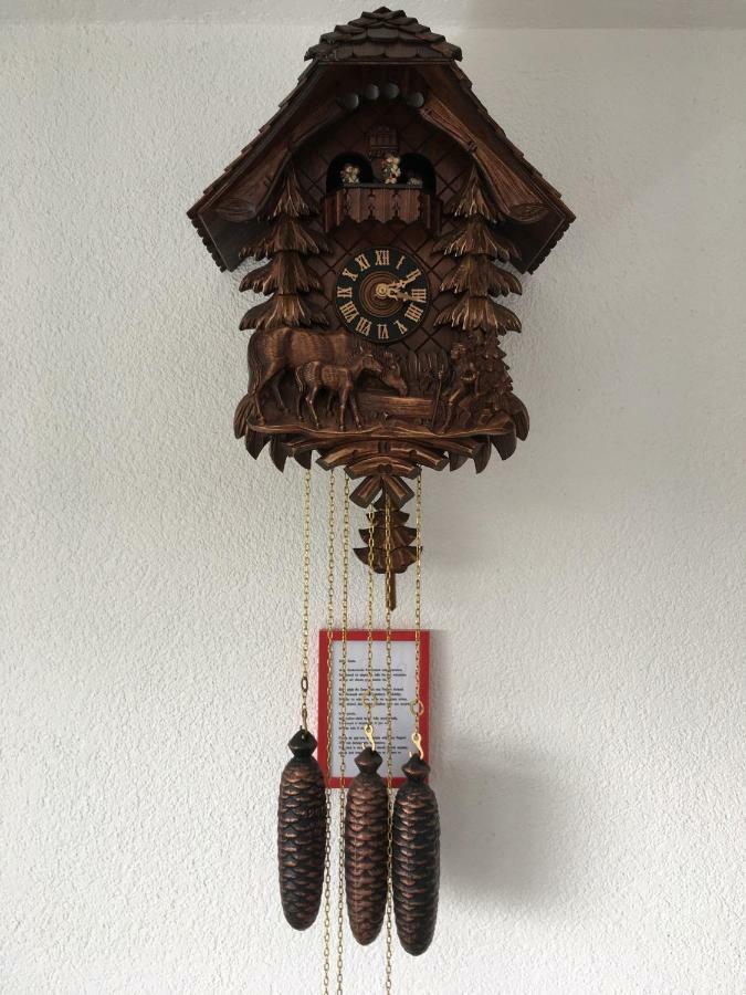Appartement Bergwaerts Rickenbach  Zewnętrze zdjęcie