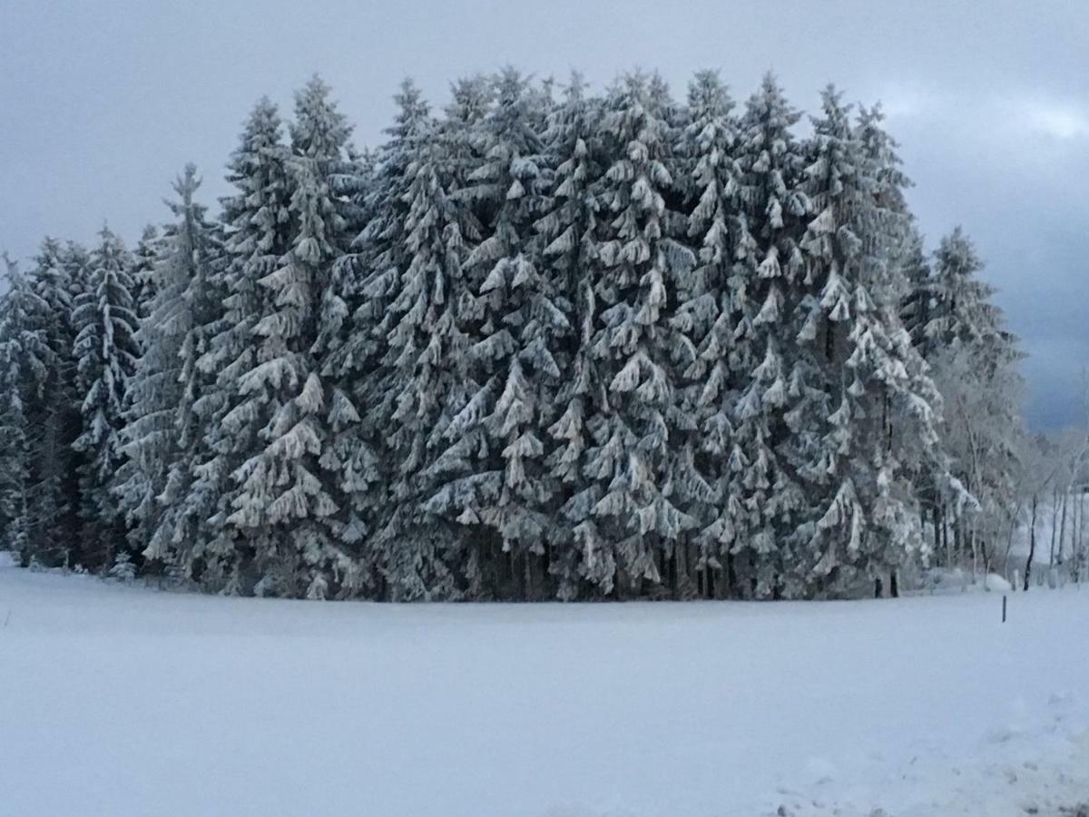 Appartement Bergwaerts Rickenbach  Zewnętrze zdjęcie
